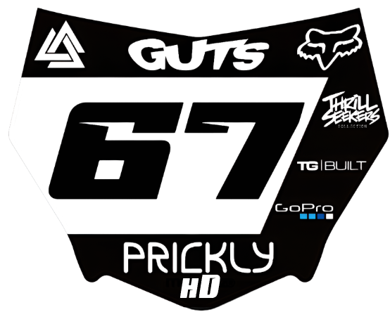 Motocutz plate with our decal